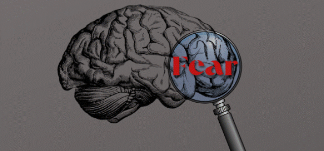 Hard to Stop Fear-Greed Cycle | Veridian Capital Partners